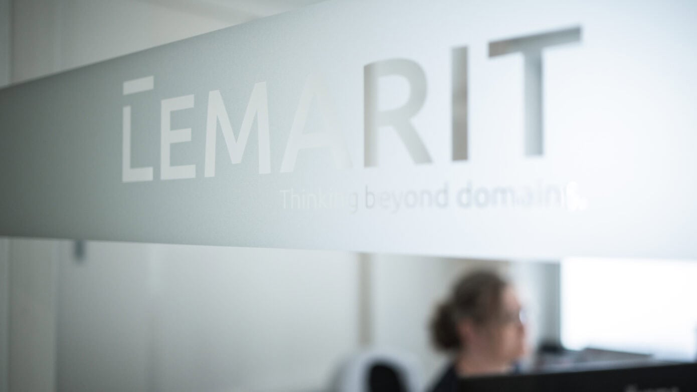 LEMARIT Experten-Team bei der Arbeit