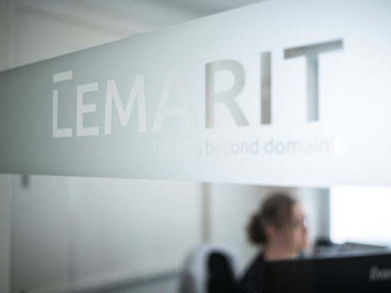 LEMARIT Experten-Team bei der Arbeit